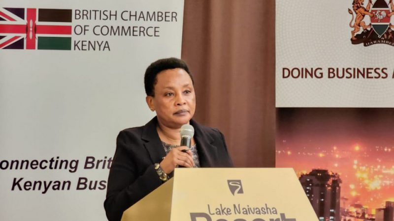 Judiciary committed to expediting ‎resolution of commercial disputes and enhancing access to ‎justice in commercial sector: DCJ Mwilu